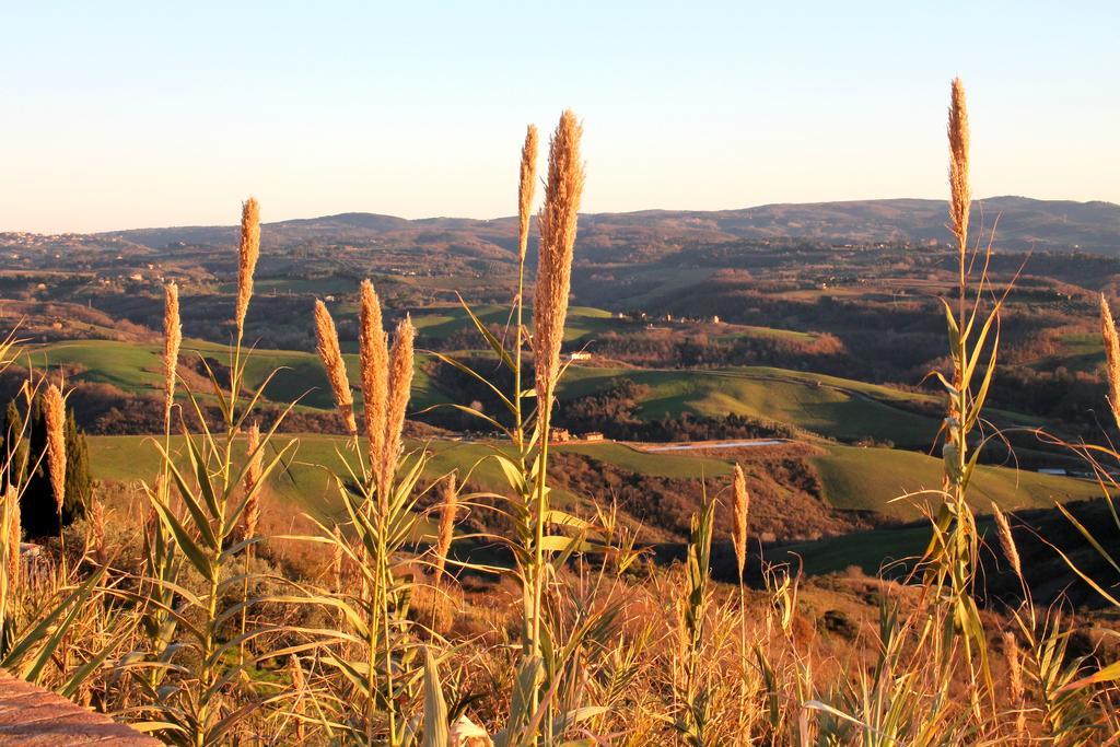 Agriturismo Le Docce Castelfiorentino Buitenkant foto